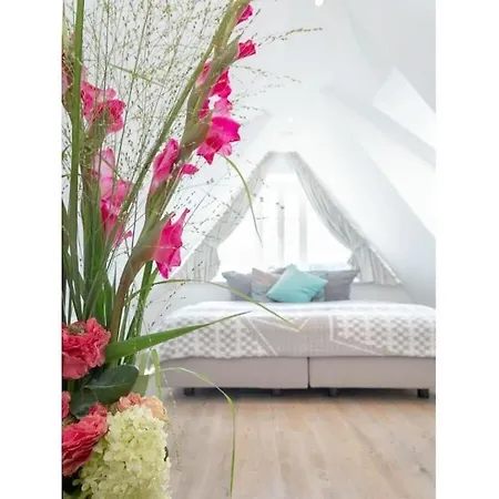 Baeum Hues B Comfortable * Westerland